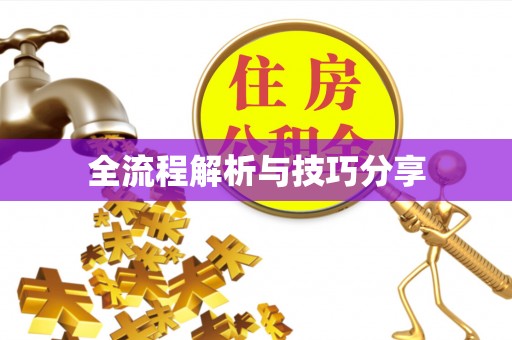 南丹全流程解析与技巧分享